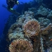 wreck_numidia_bro_b_ni_v_0194_egy0333.jpg